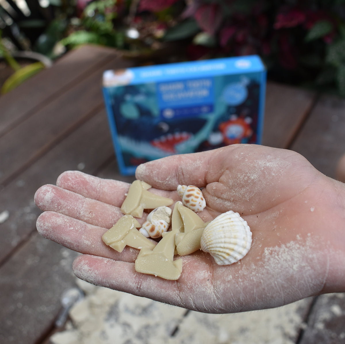 Jar Melo Fossils Excavation Kit Shark