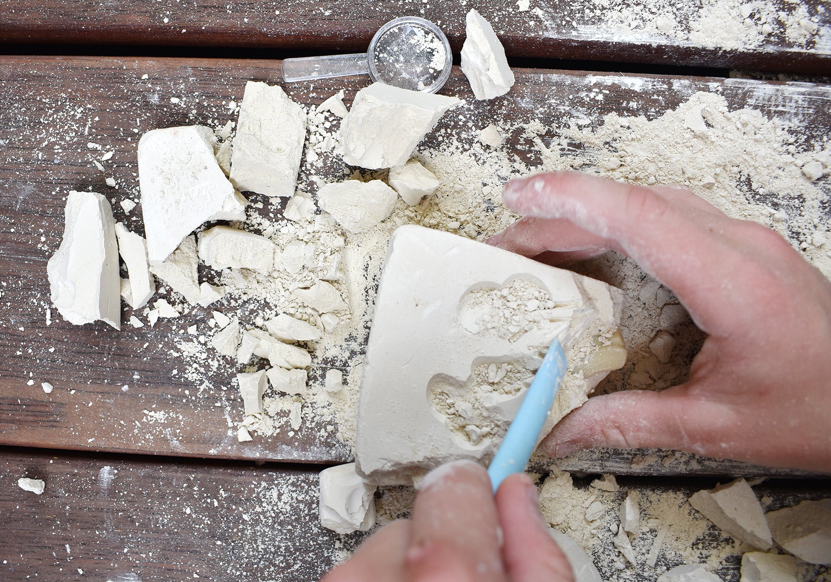 Jar Melo Fossils Excavation Kit Shark
