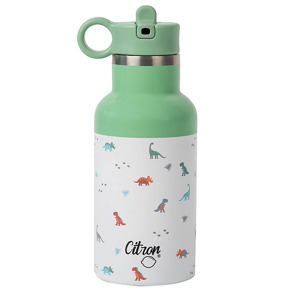 Citron Stainless Steel Bottle 350ml Dino Green