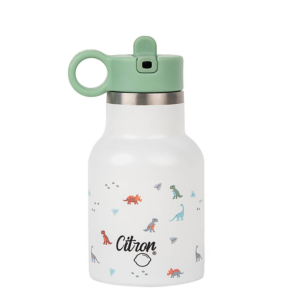 Citron Stainless Steel Bottle 250ml Dino Green | Kitchen Appliance | Halabh.com